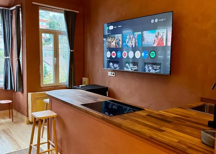 Apartment Historic Design 3-storey Arnavutkoey With Patio