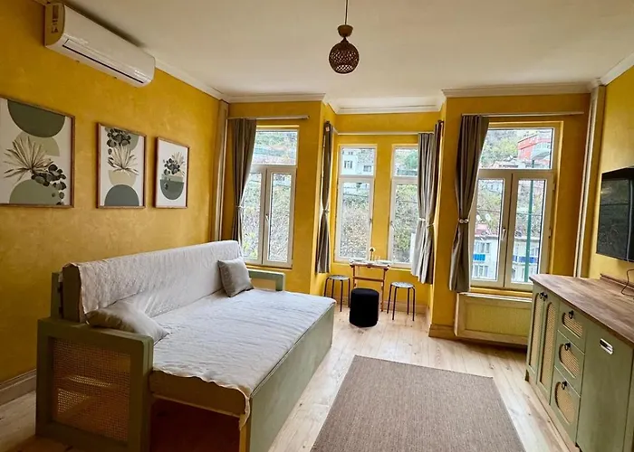 Апартаменты Historic Design 3-storey Arnavutkoey With Patio Стамбул