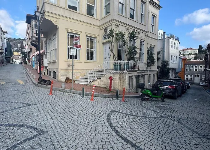 Апартаменты Historic Design 3-storey Arnavutkoey With Patio Стамбул